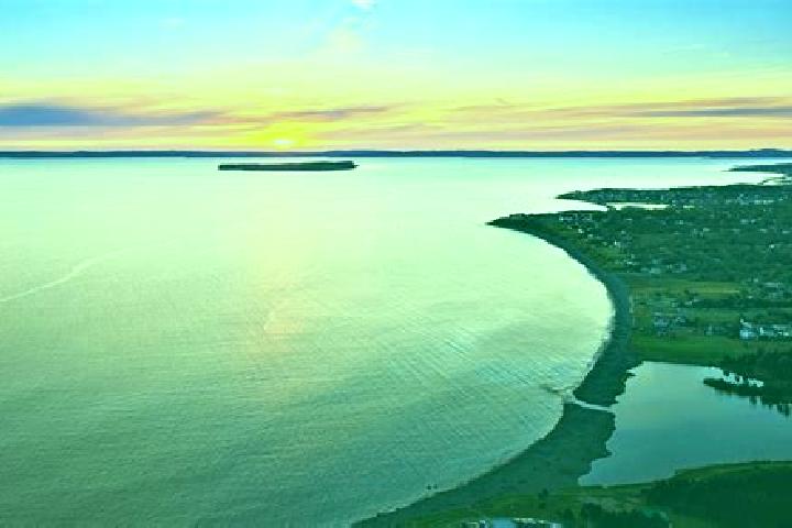 escort Conception Bay South