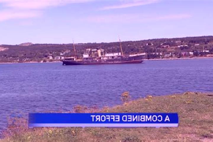 escort Conception Harbour