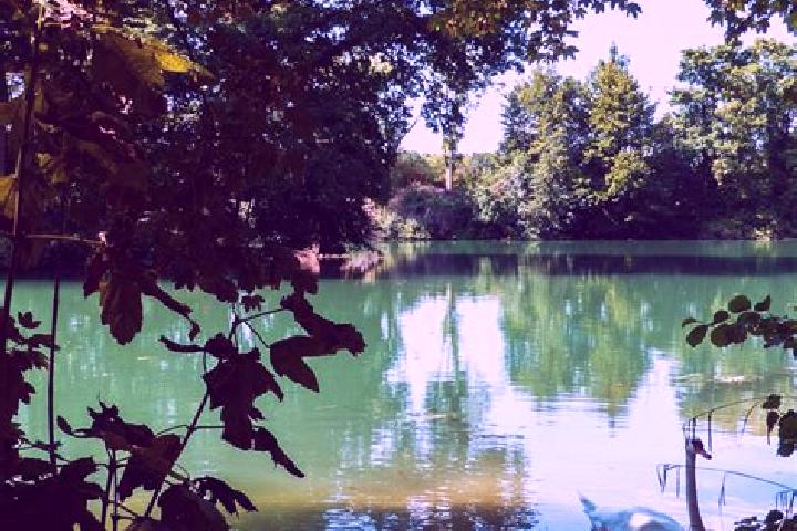 escort Conde-sur-Marne