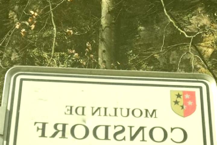escort Consdorf