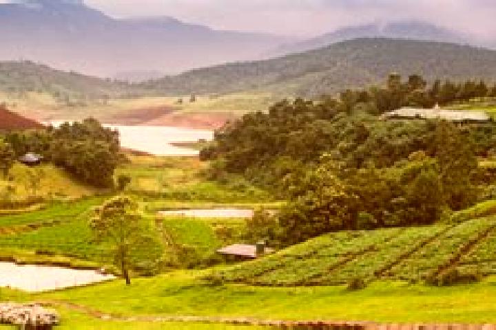 escort Coonoor