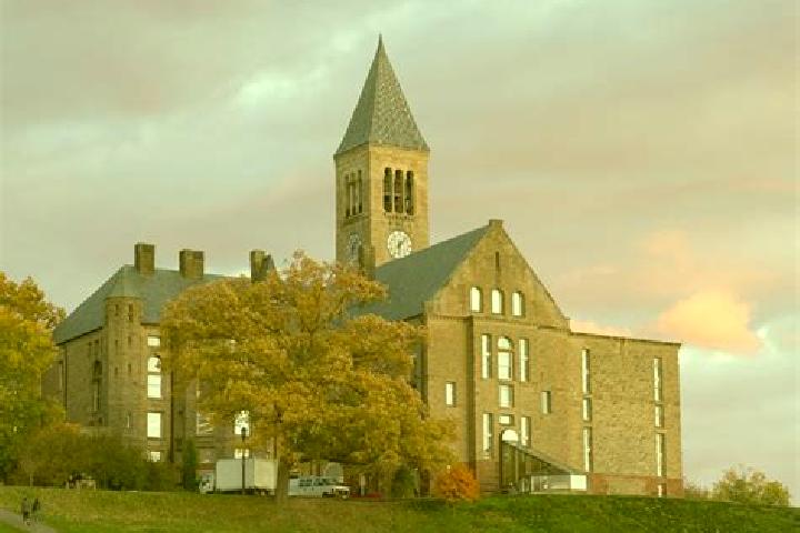escort Cornell