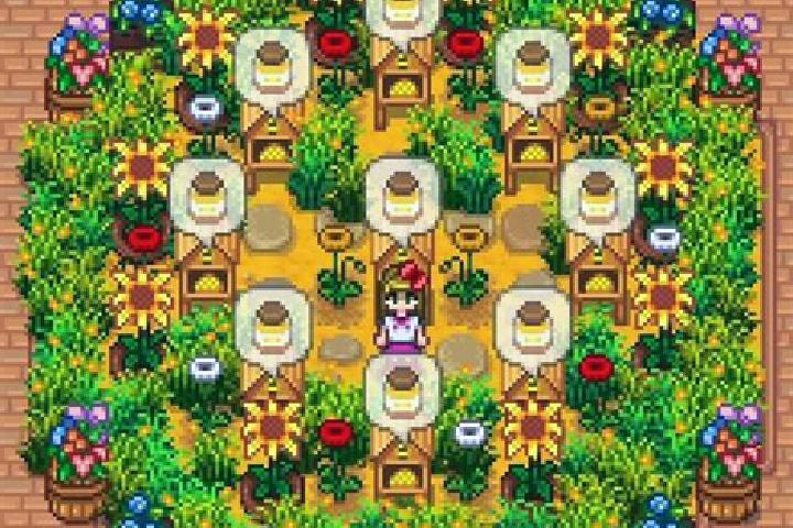 escort Corral Hierba