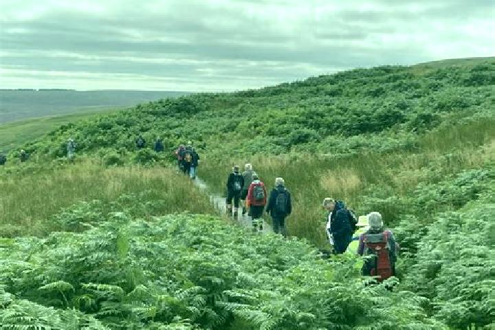 escort Corsenside