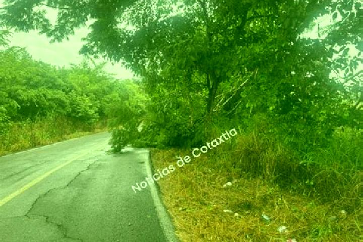 escort Cotaxtla