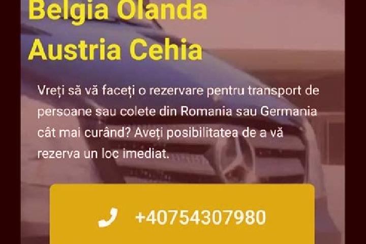 escort Cotofenii din Fata