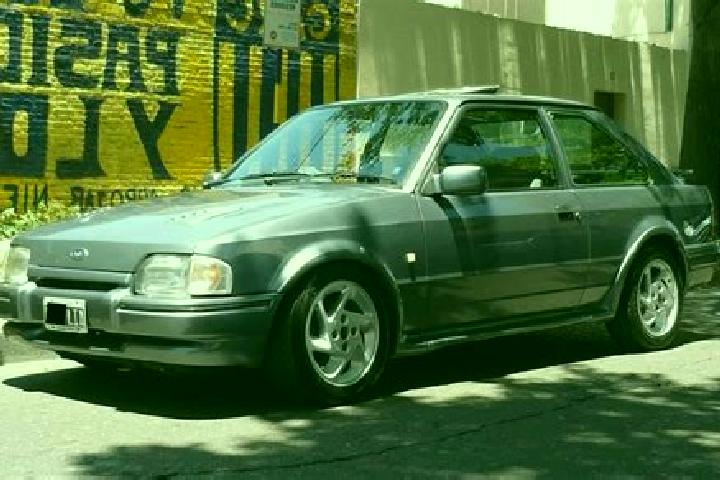 escort Cotoroaia