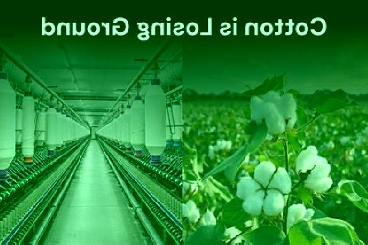 escort Cotton Ground