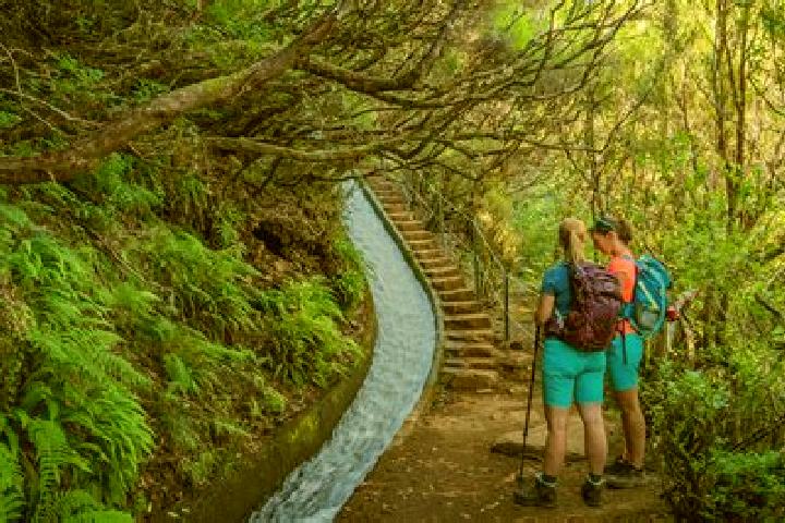 escort Covolo-Levada