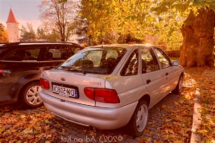 escort Criuleni