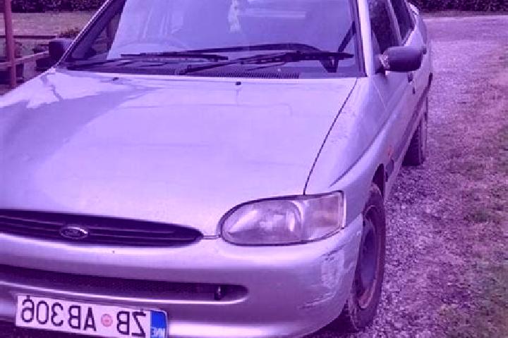 escort Crna Bara