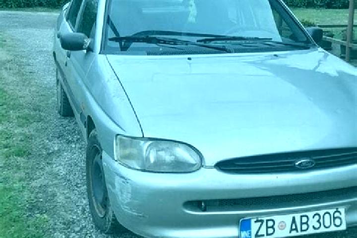 escort Crna Trava