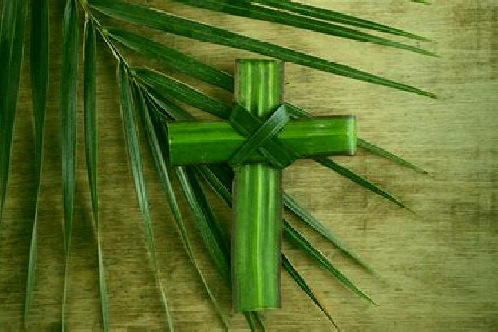 escort Cruz de Palma