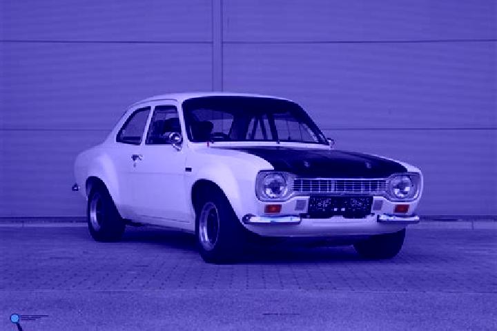 escort Daarle