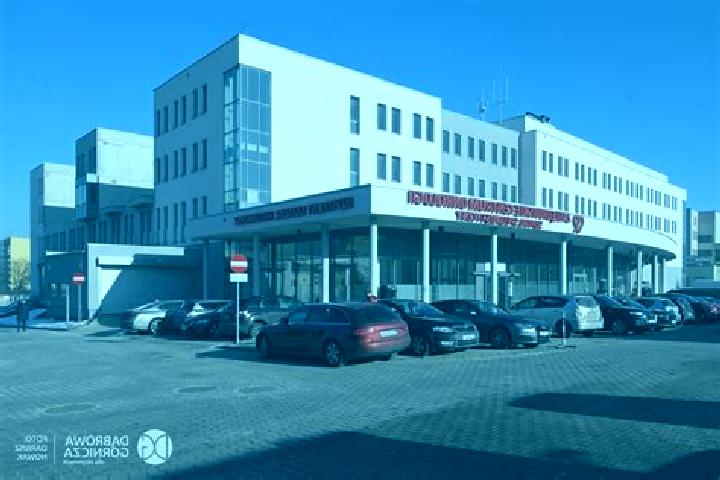 escort Dabrowa Gornicza