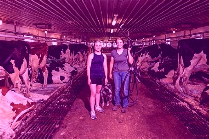 escort Dairy Farm