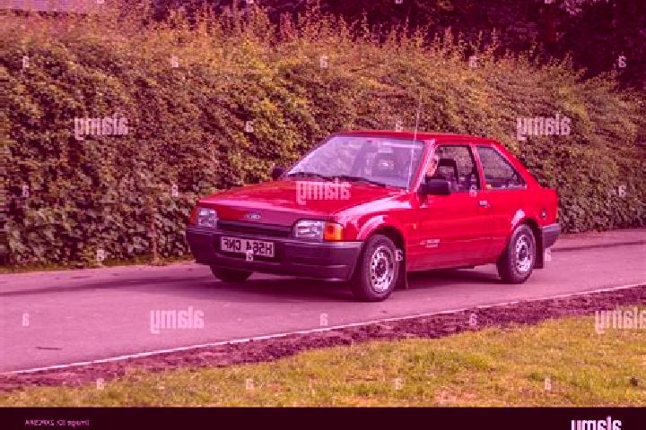 escort Dalby