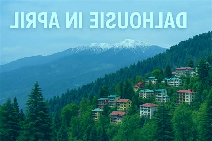 escort Dalhousie