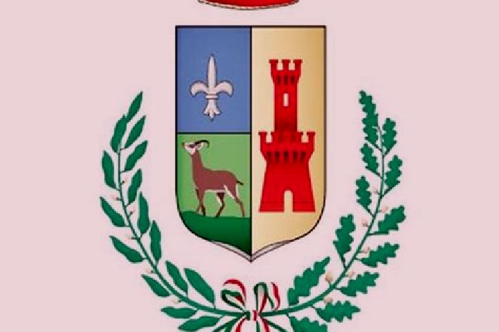 escort Dalmine