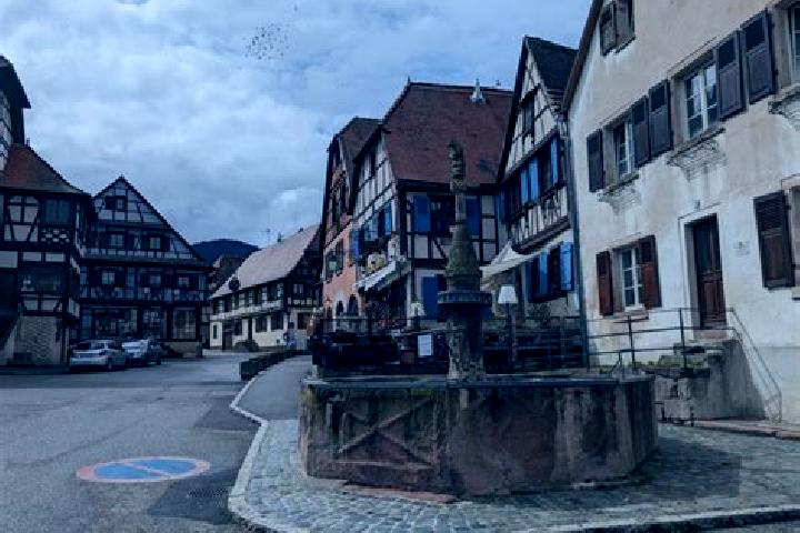 escort Dambach-la-Ville