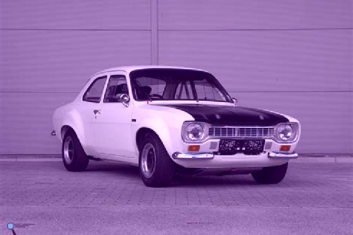 escort Damienesti