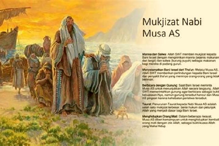escort Dan Musa