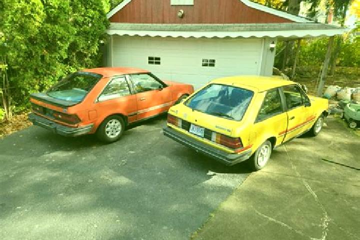 escort Dansville