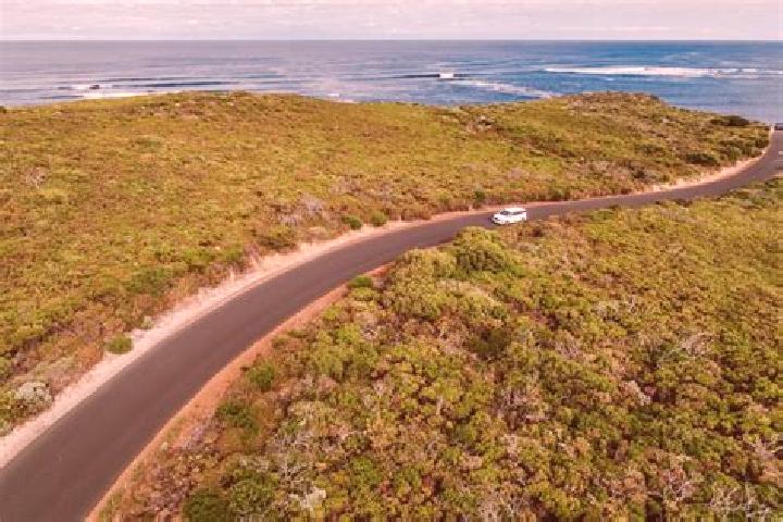 escort Dardanup West