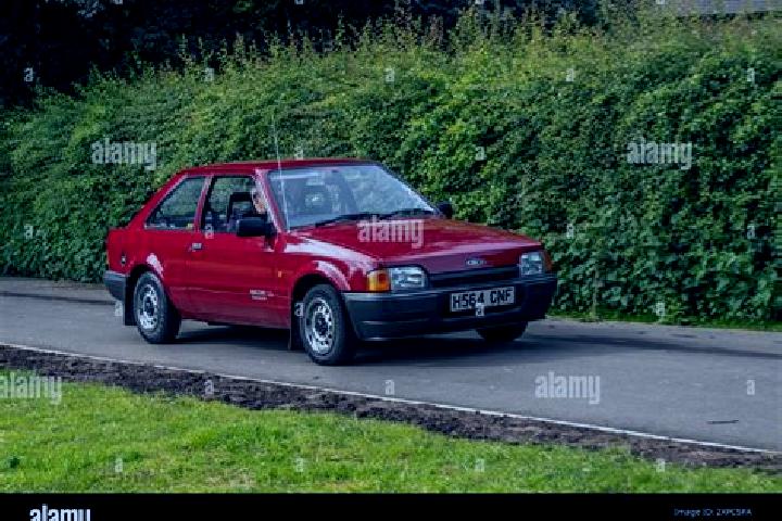 escort Dargomysl