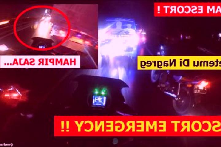 escort Dari