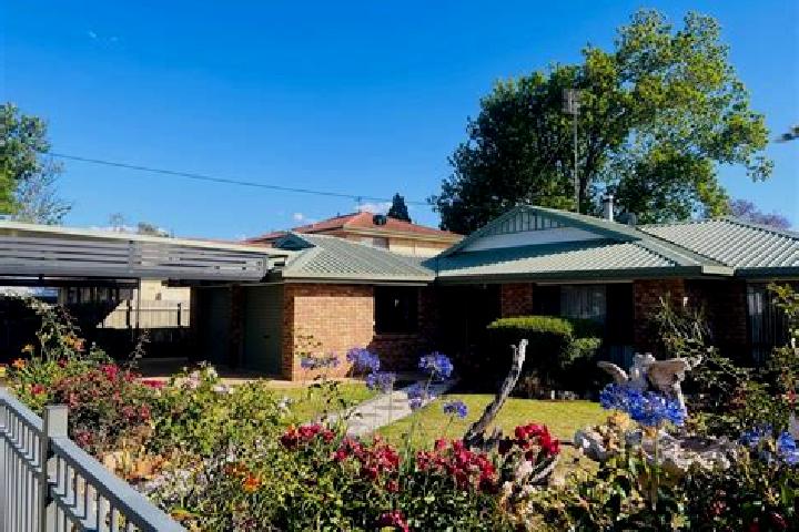 escort Darling Heights