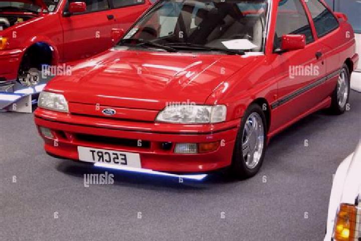 escort Darton