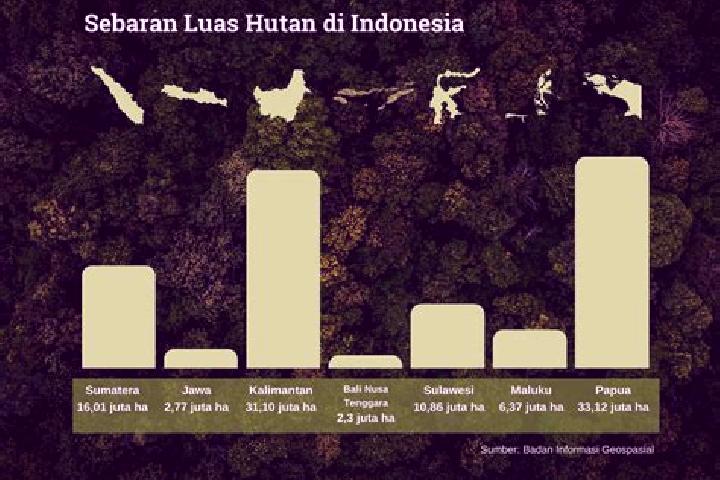 escort Data Dian