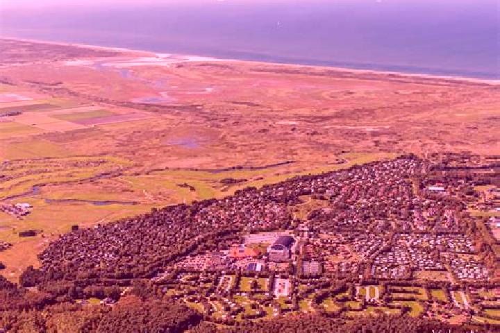 escort De Cocksdorp