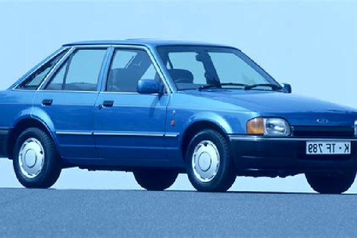 escort De Noord