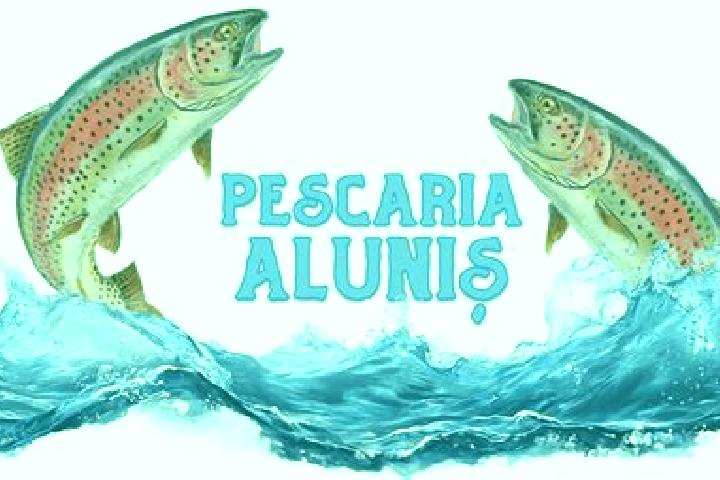 escort Dealu Alunis