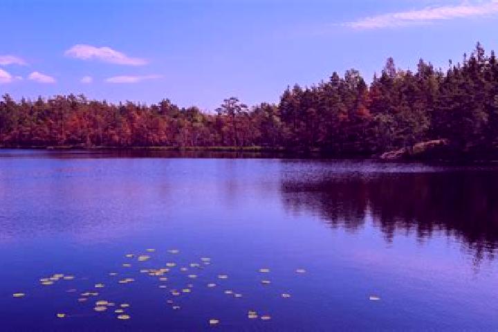 escort Deer Lake
