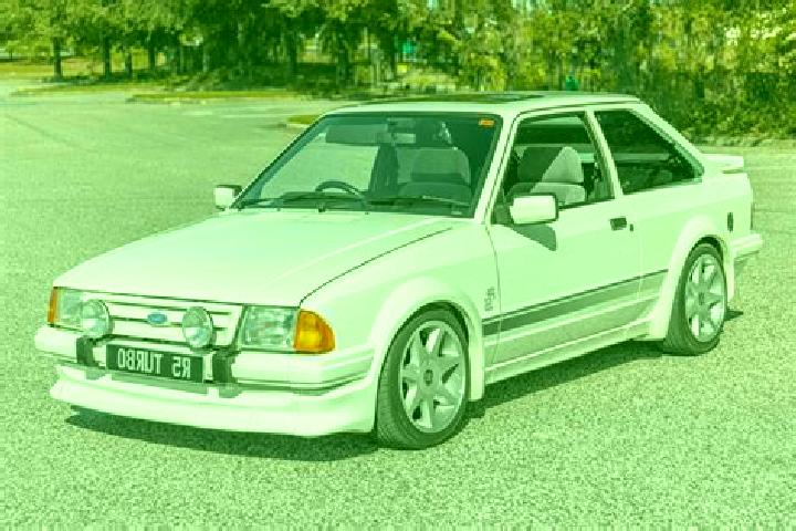 escort Delnita