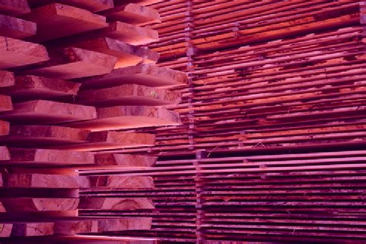escort Den Hout