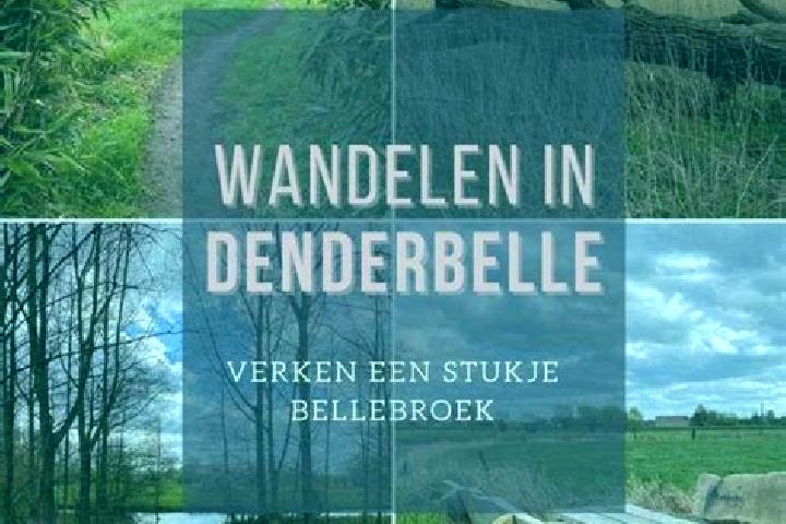 escort Denderbelle