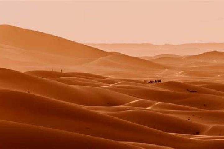 escort Deserto