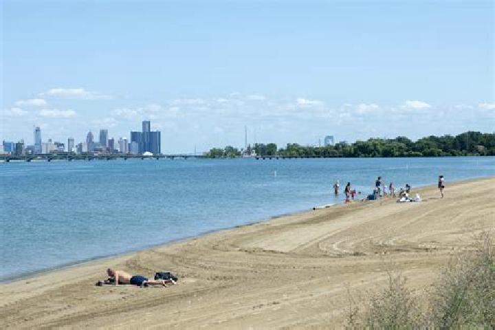escort Detroit Beach