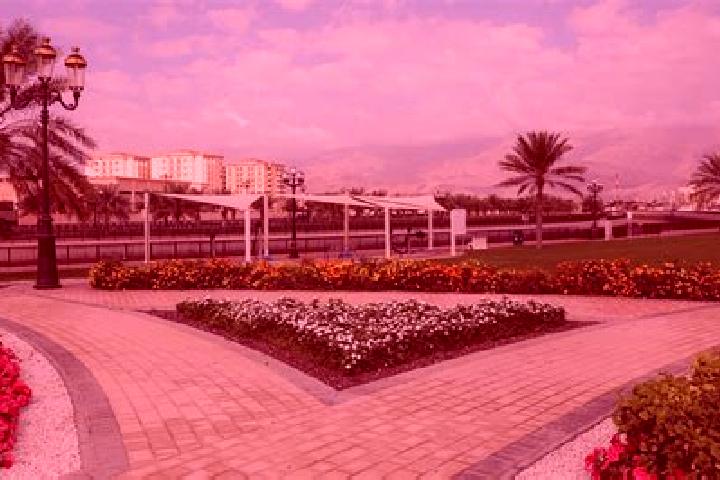 escort Dib Dibba