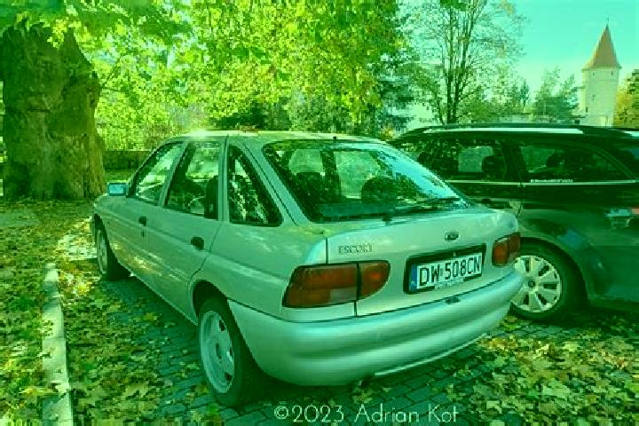 escort Dilesi