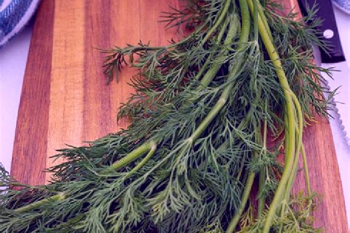 escort Dill
