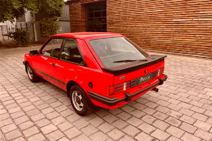 escort Dimitrovgrad