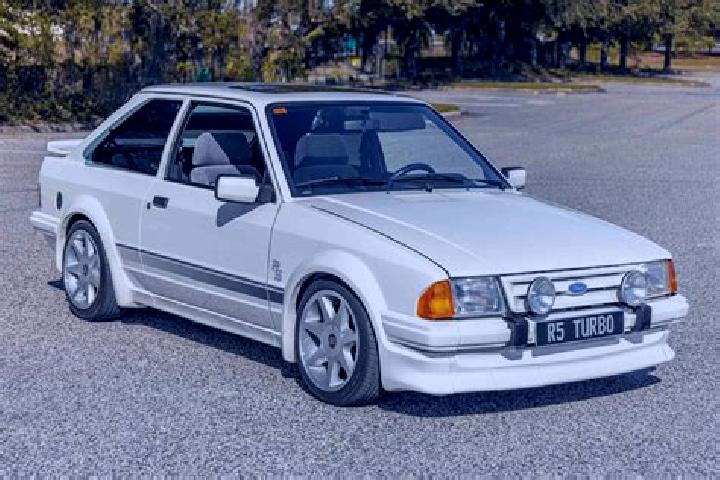 escort Dimmitt