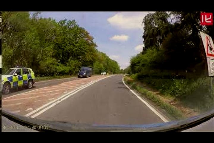 escort Dinmore