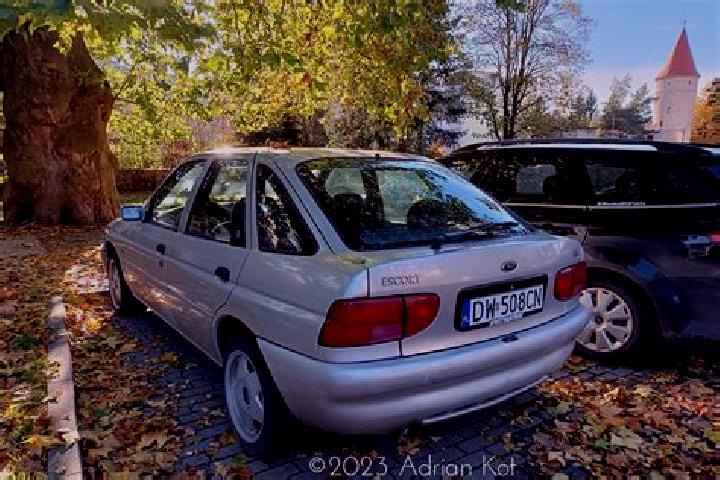 escort Dobiegniew