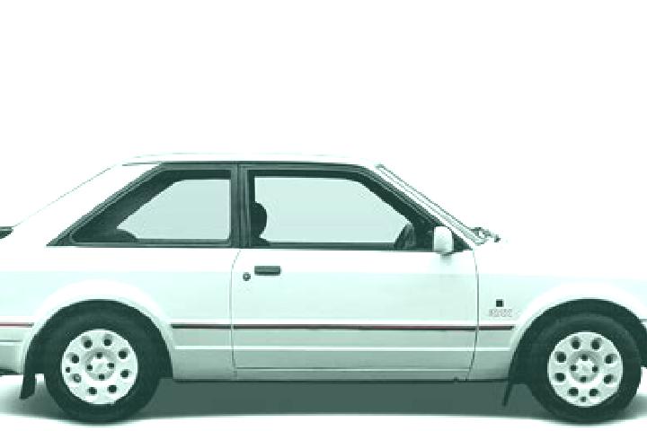 escort Dodewaard